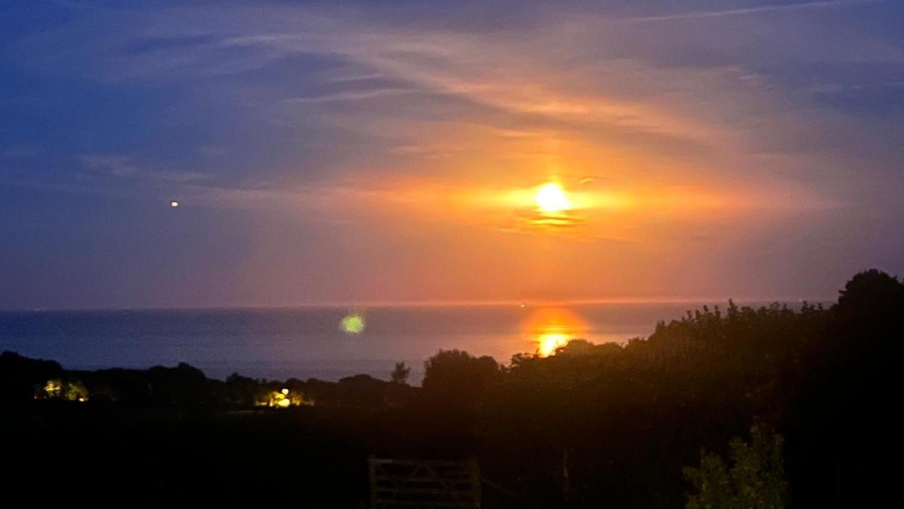 Halekulani Devon Homestay 토키 외부 사진